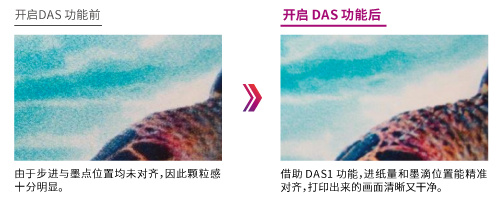 墨点自动调整功能 DAS1（Dot Adjustment System 1）