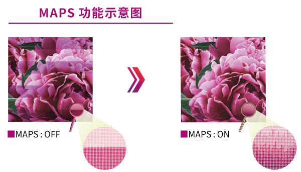 MAPS 功能示意图