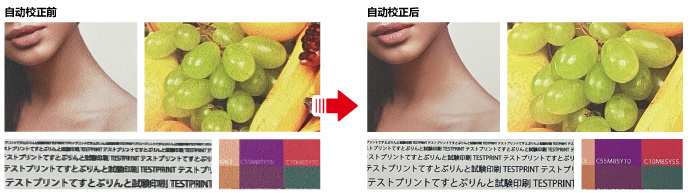 DAS升级成为　DAS2（Dot Adjustment System 2）
