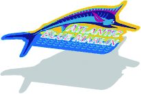 Diagram of output order of synthesized images_