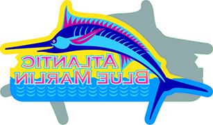 Left and right flipped printout of color job only_